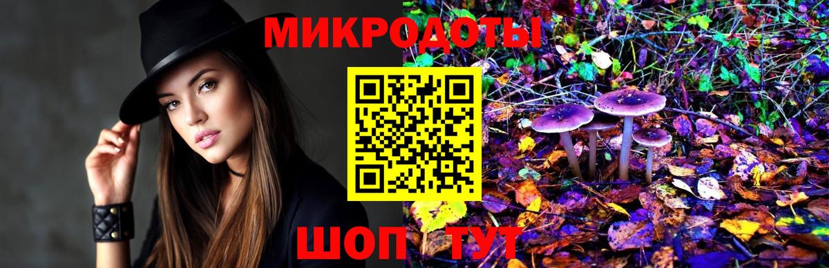 Псилоцибиновые грибы Psilocybine cubensis Мытищи